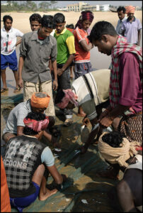 Fishermen examining a poor catch | Puri, India 2011